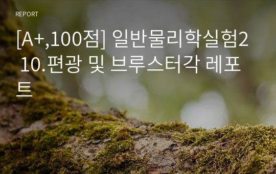 [A+,100점] 일반물리학실험2 10.편광 및 브루스터각 레포트