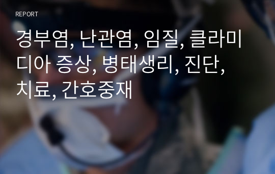 경부염, 난관염, 임질, 클라미디아 증상, 병태생리, 진단, 치료, 간호중재