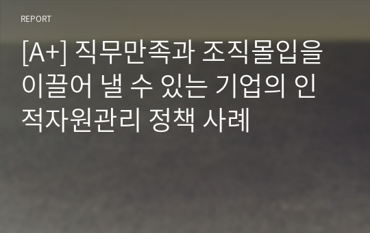 [A+] 직무만족과 조직몰입을 이끌어 낼 수 있는 기업의 인적자원관리 정책 사례