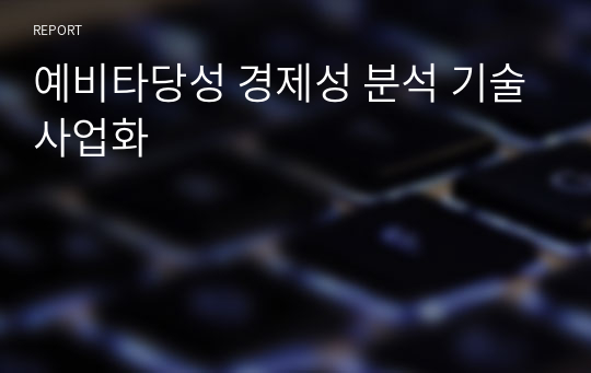 예비타당성 경제성 분석 기술사업화