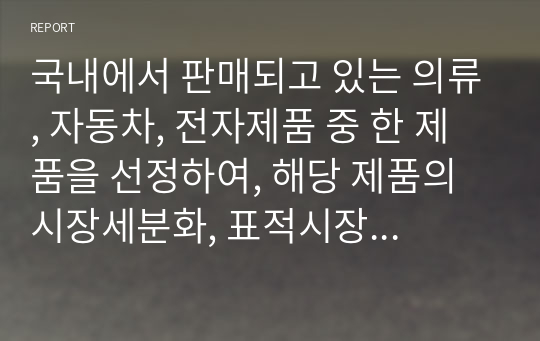 국내에서 판매되고 있는 의류, 자동차, 전자제품 중 한 제품을 선정하여, 해당 제품의 시장세분화, 표적시장 선정, 포지셔닝