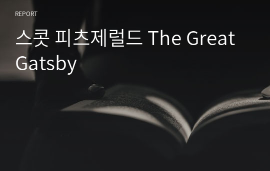 스콧 피츠제럴드 The Great Gatsby