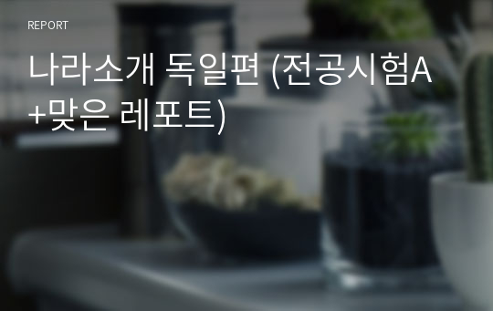 나라소개 독일편 (전공시험A+맞은 레포트)