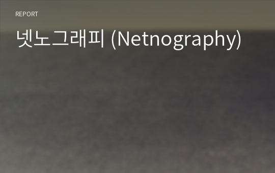 넷노그래피 (Netnography)