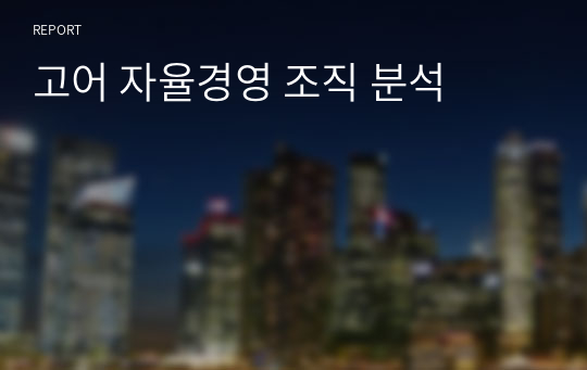 고어 자율경영 조직 분석