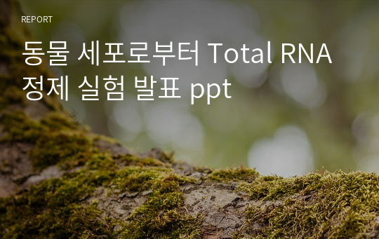 동물 세포로부터 Total RNA 정제 실험 발표 ppt