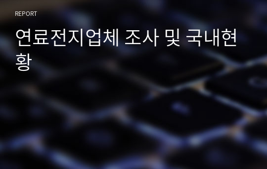 연료전지업체 조사 및 국내현황