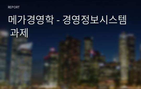 메가경영학 - 경영정보시스템 과제