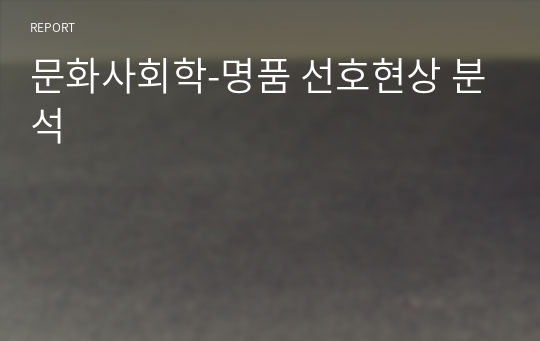 문화사회학-명품 선호현상 분석