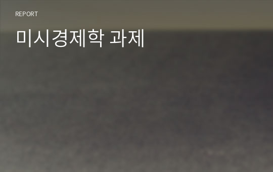 미시경제학 과제