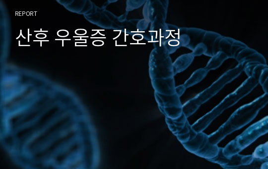 산후 우울증 간호과정