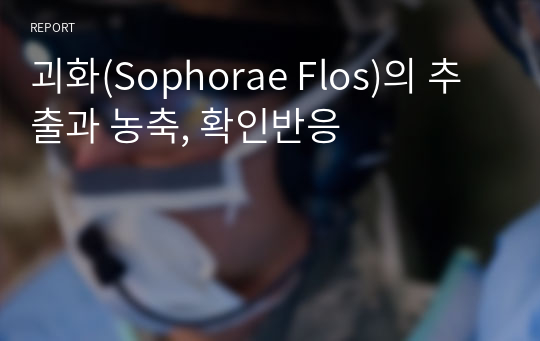 괴화(Sophorae Flos)의 추출과 농축, 확인반응