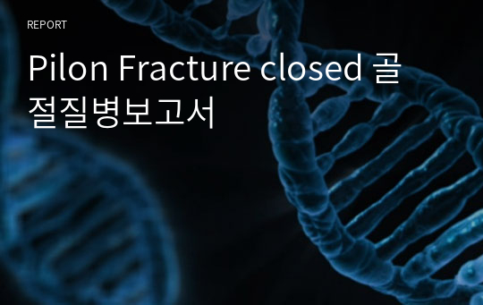 Pilon Fracture closed 골절질병보고서