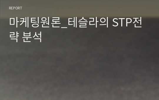 마케팅원론_테슬라의 STP전략 분석