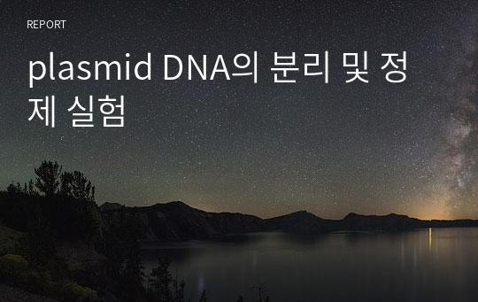 plasmid DNA의 분리 및 정제 실험