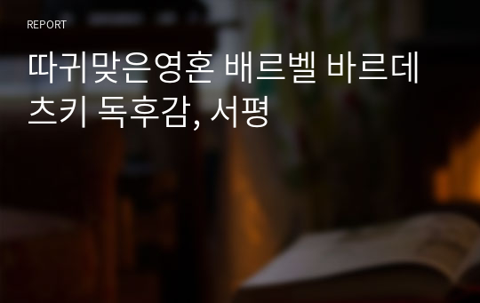 따귀맞은영혼 배르벨 바르데츠키 독후감, 서평