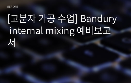 [고분자 가공 수업] Bandury internal mixing 예비보고서