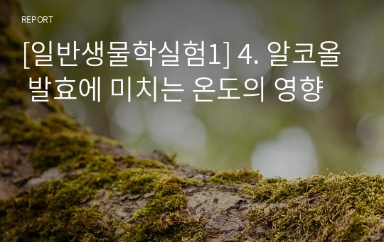 [일반생물학실험1] 4. 알코올 발효에 미치는 온도의 영향