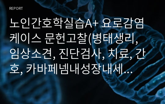 노인간호학실습A+ 요로감염 케이스 문헌고찰(병태생리, 임상소견, 진단검사, 치료, 간호, 카바페넴내성장내세균속균종, CRE)