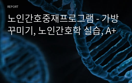 노인간호중재프로그램 - 가방꾸미기, 노인간호학 실습, A+