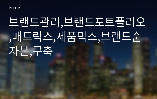 브랜드관리,브랜드포트폴리오,매트릭스,제품믹스,브랜드순자본,구축