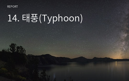 14. 태풍(Typhoon)