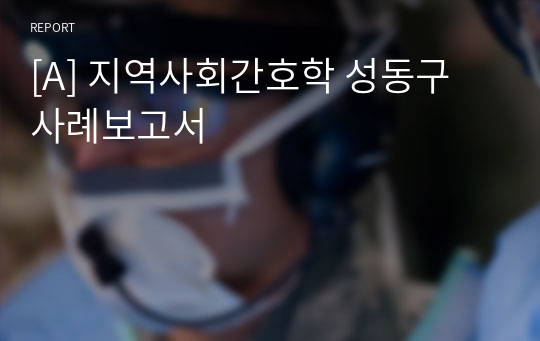 [A] 지역사회간호학 성동구 사례보고서