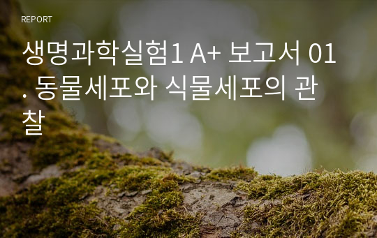 생명과학실험1 A+ 보고서 01. 동물세포와 식물세포의 관찰