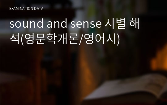 sound and sense 시별 해석(영문학개론/영어시)