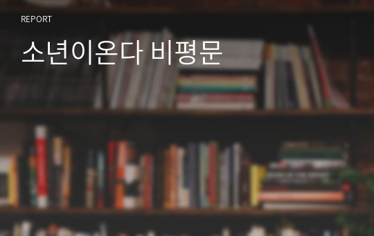 소년이온다 비평문