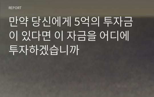 만약 당신에게 5억의 투자금이 있다면 이 자금을 어디에 투자하겠습니까