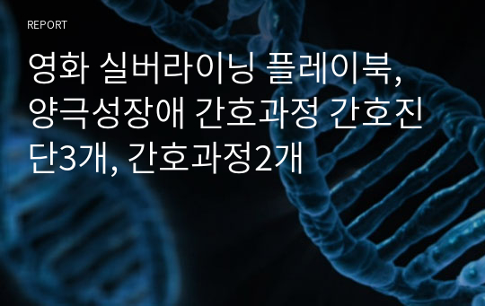 영화 실버라이닝 플레이북, 양극성장애 간호과정 간호진단3개, 간호과정2개
