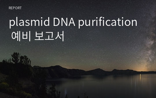 plasmid DNA purification 예비 보고서