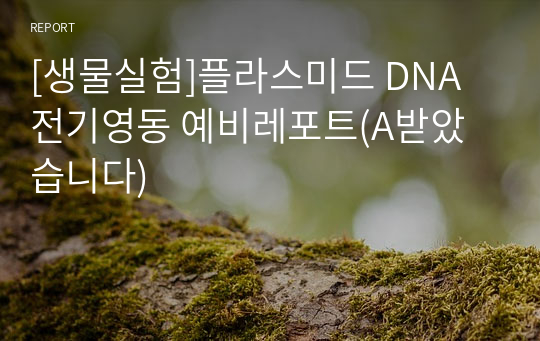 [생물실험]플라스미드 DNA 전기영동 예비레포트(A받았습니다)