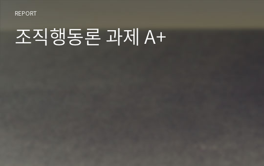 조직행동론 과제 A+