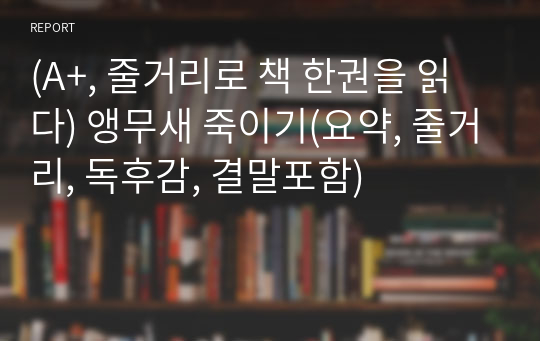 (A+, 줄거리로 책 한권을 읽다) 앵무새 죽이기(요약, 줄거리, 독후감, 결말포함)