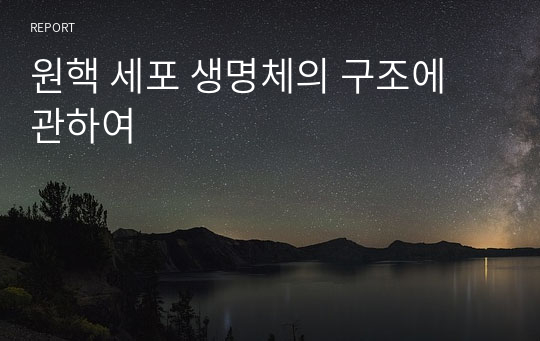 원핵 세포 생명체의 구조에 관하여