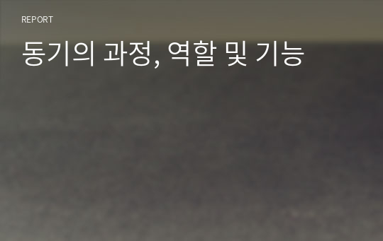 동기의 과정, 역할 및 기능