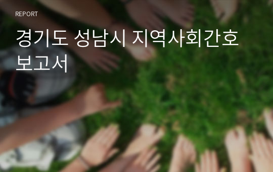 경기도 성남시 지역사회간호보고서