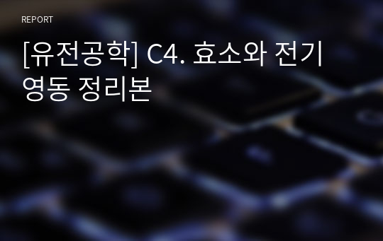 [유전공학] C4. 효소와 전기영동 정리본