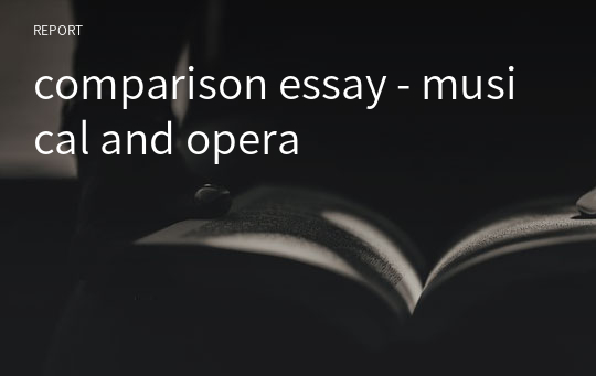 comparison essay - musical and opera
