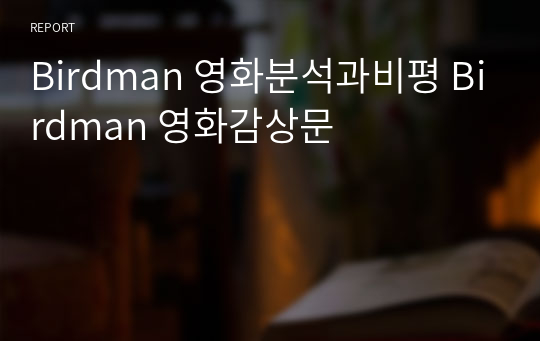 Birdman 영화분석과비평 Birdman 영화감상문