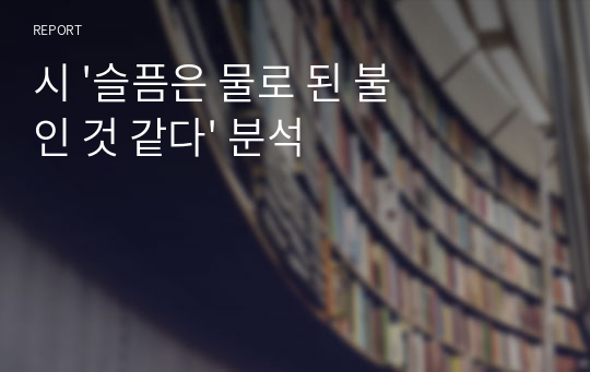 시 &#039;슬픔은 물로 된 불인 것 같다&#039; 분석