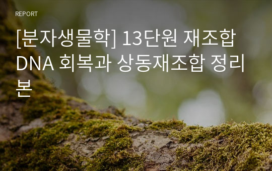 [분자생물학] 13단원 재조합 DNA 회복과 상동재조합 정리본