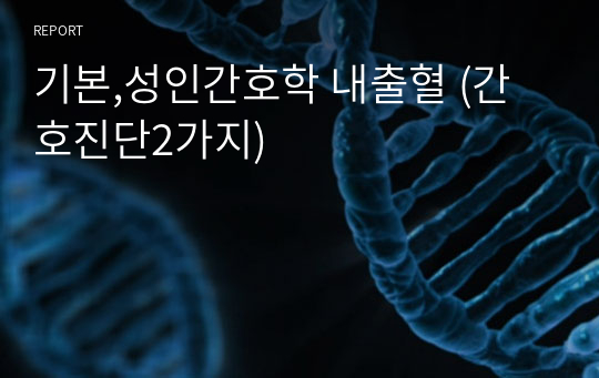 기본,성인간호학 내출혈 (간호진단2가지)