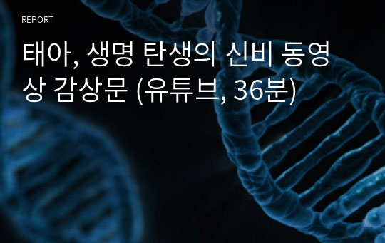 태아, 생명 탄생의 신비 동영상 감상문 (유튜브, 36분)
