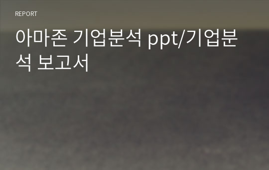 아마존 기업분석 ppt/기업분석 보고서