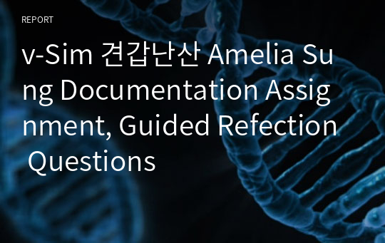 v-Sim 견갑난산 Amelia Sung Documentation Assignment, Guided Refection Questions