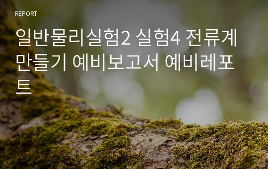 일반물리실험2 실험4 전류계 만들기 예비보고서 예비레포트