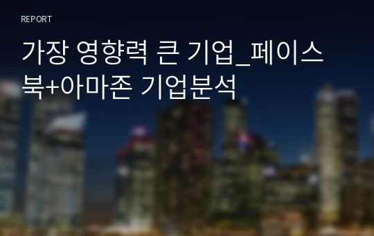 가장 영향력 큰 기업_페이스북+아마존 기업분석